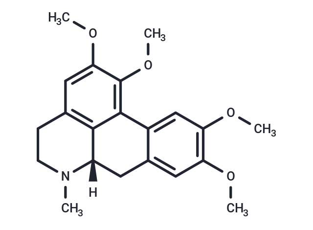 Glaucine