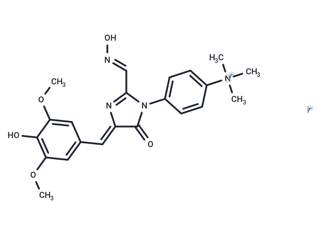 DMHBO+