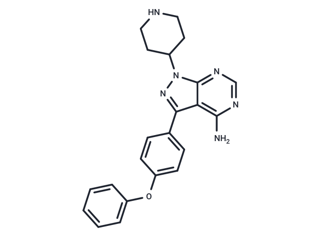 N-piperidine Ibrutinib