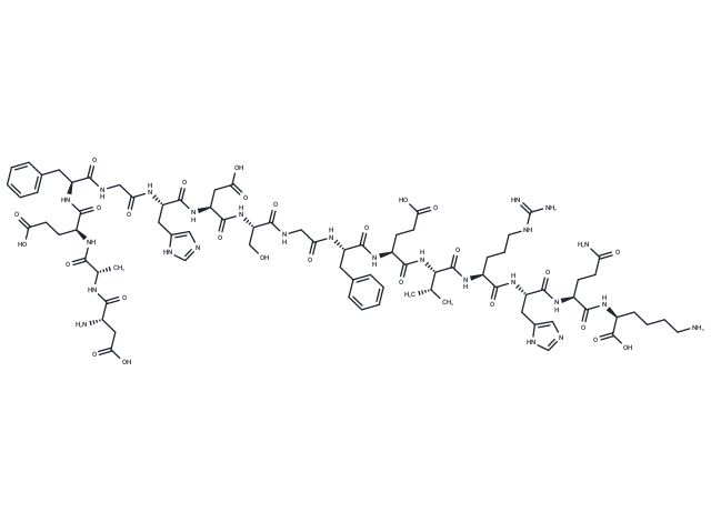 β Amyloid (1-16) rat