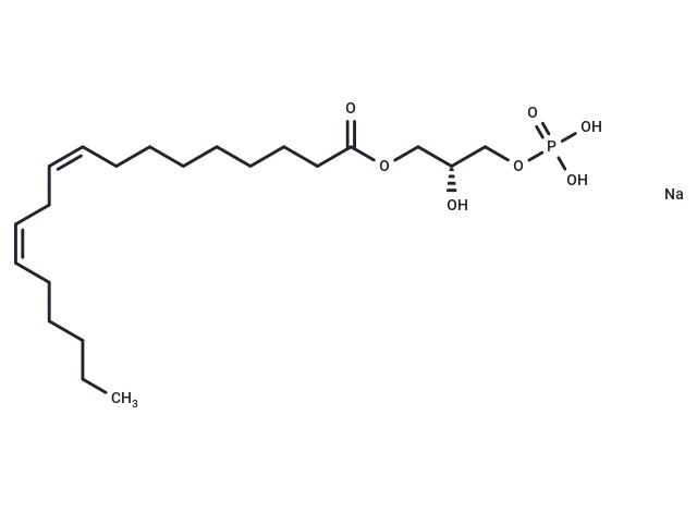 1-Linoleoyl Lysophosphatidic Acid sodium