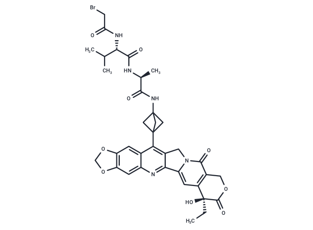 Br-Val-Ala-NH2-bicyclo[1.1.1]pentane-7-MAD-MDCPT