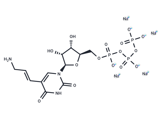 5-(3-Aminoallyl)uridine-5'-O-triphosphate sodium