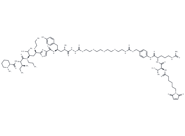 TAM558