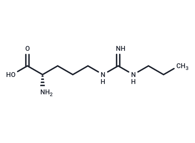 Nω-Propyl-L-arginine