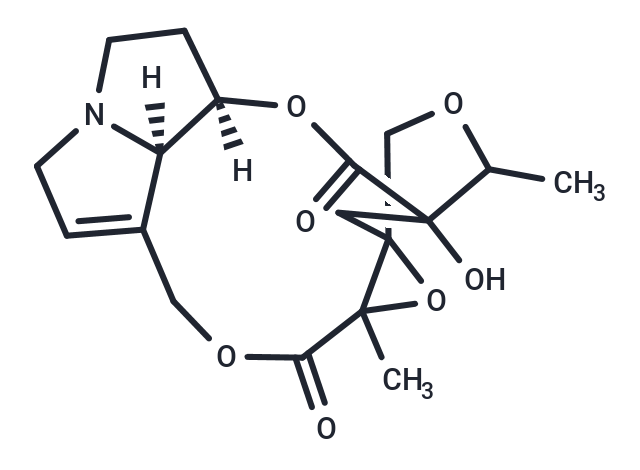 Adonifoline