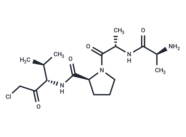 Ala-Ala-Pro-Val-chloromethylketone