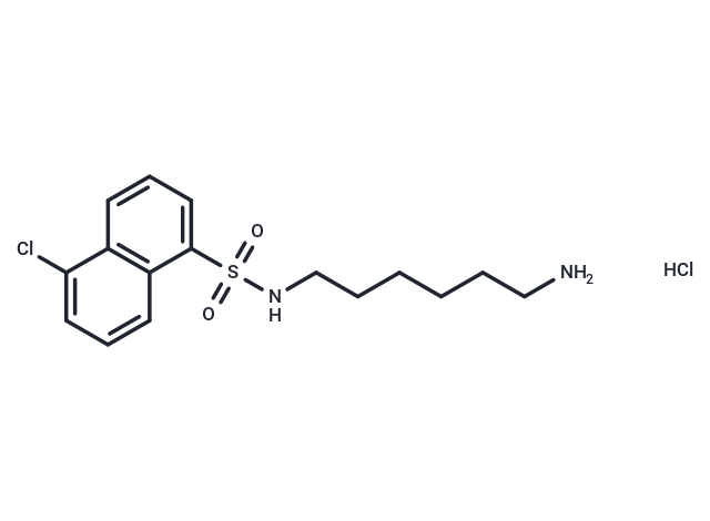 W-7 hydrochloride