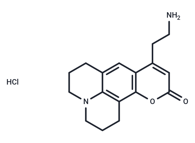 FFN 511 hydrochloride