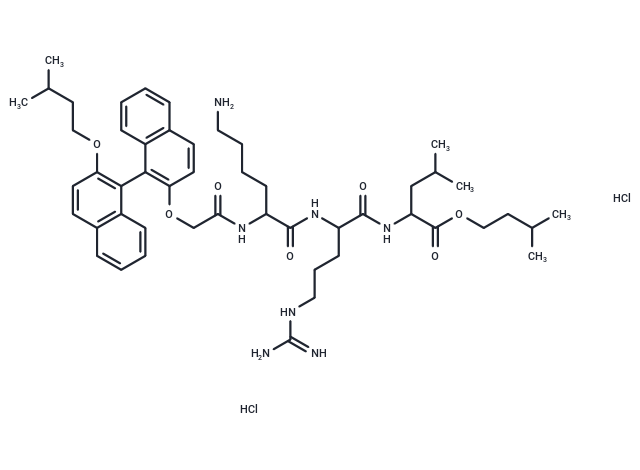 AVX 13616