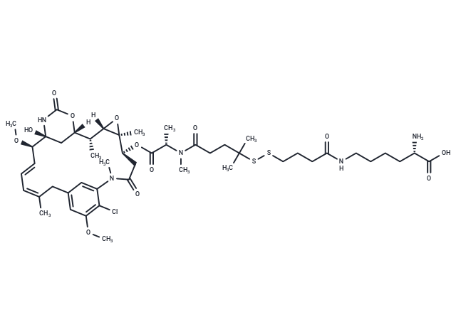 Lys-Nε-SPDB-DM4