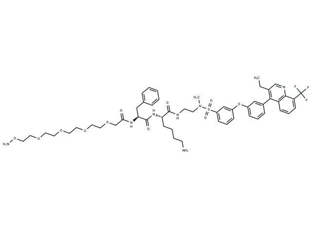 Aminooxy CatB-LXR