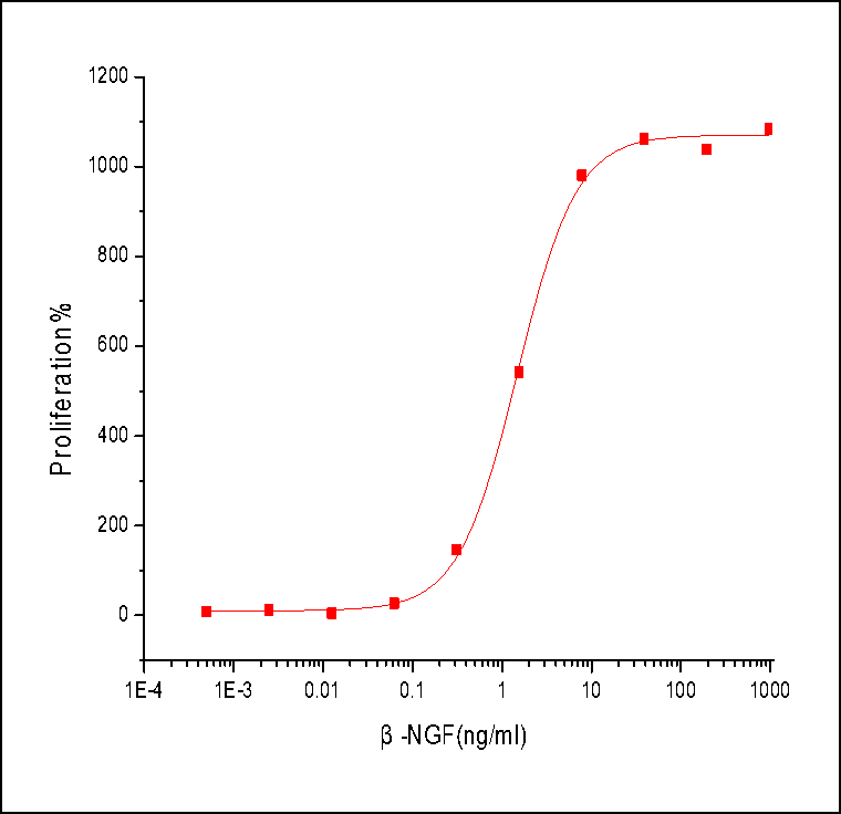 NGF Protein, Human, Recombinant