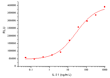 IL-31 Protein, Human, Recombinant (His)