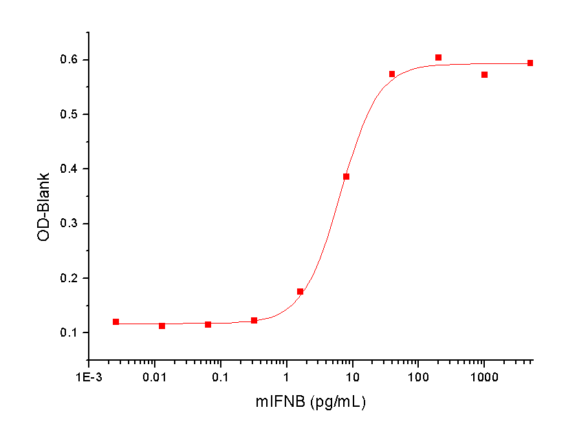 IFN-beta Protein, Mouse, Recombinant