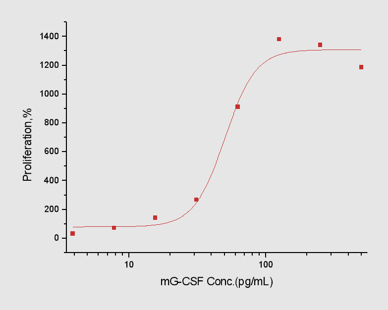 G-CSF Protein, Mouse, Recombinant