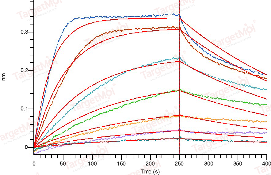 IFN-alpha 2a/IFNA2 Protein, Human, Recombinant