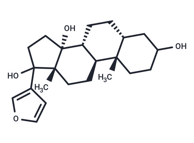 Rostafuroxin