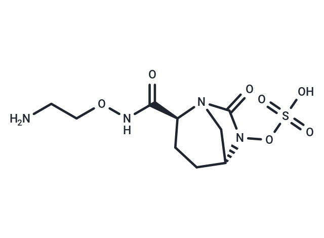 Nacubactam