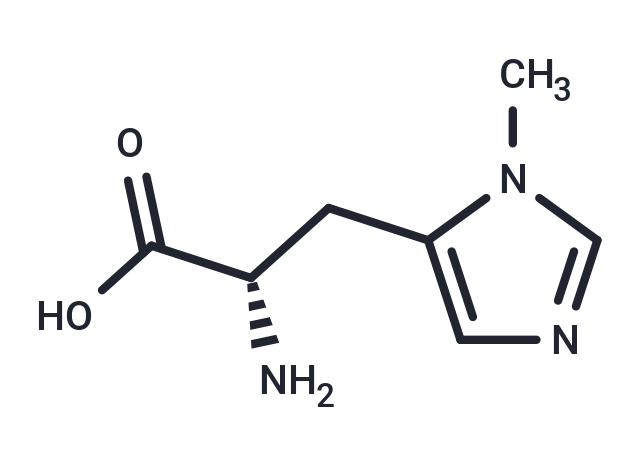 3-Methyl-L-histidine