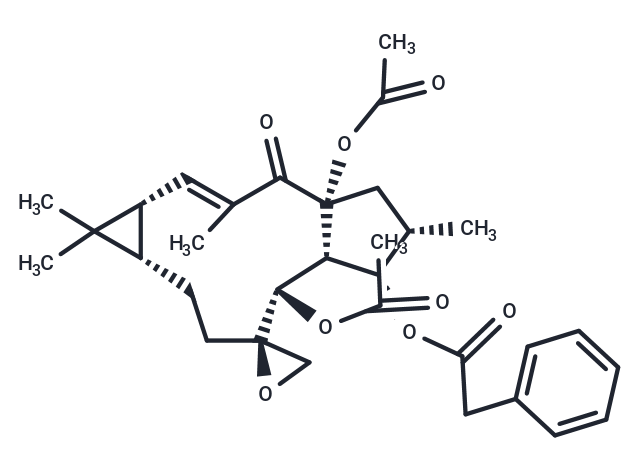 Euphorbiasteroid