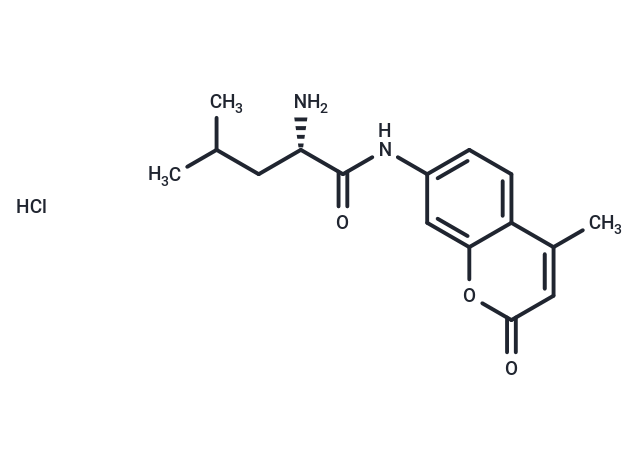 L-Leucine-7-amido-4-methylcoumarin hydrochloride