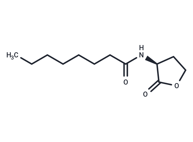 N-octanoyl-L-Homoserine lactone