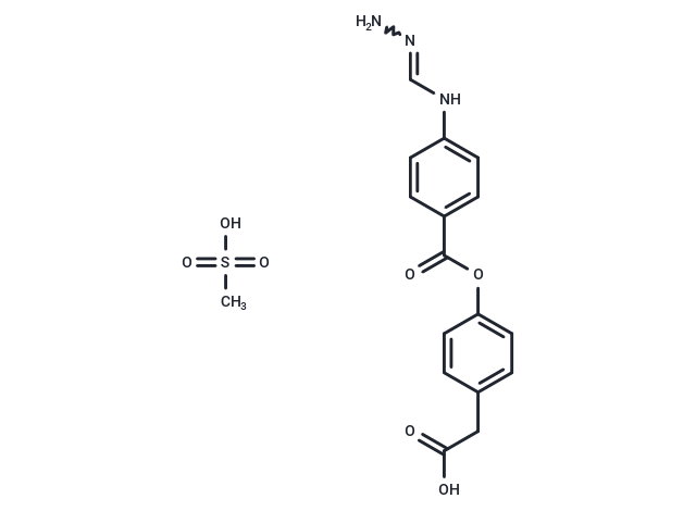 FOY 251