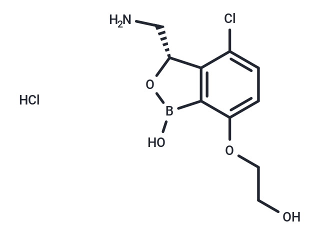 Ganfeborole HCl