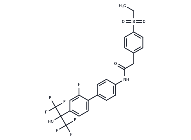 XY101