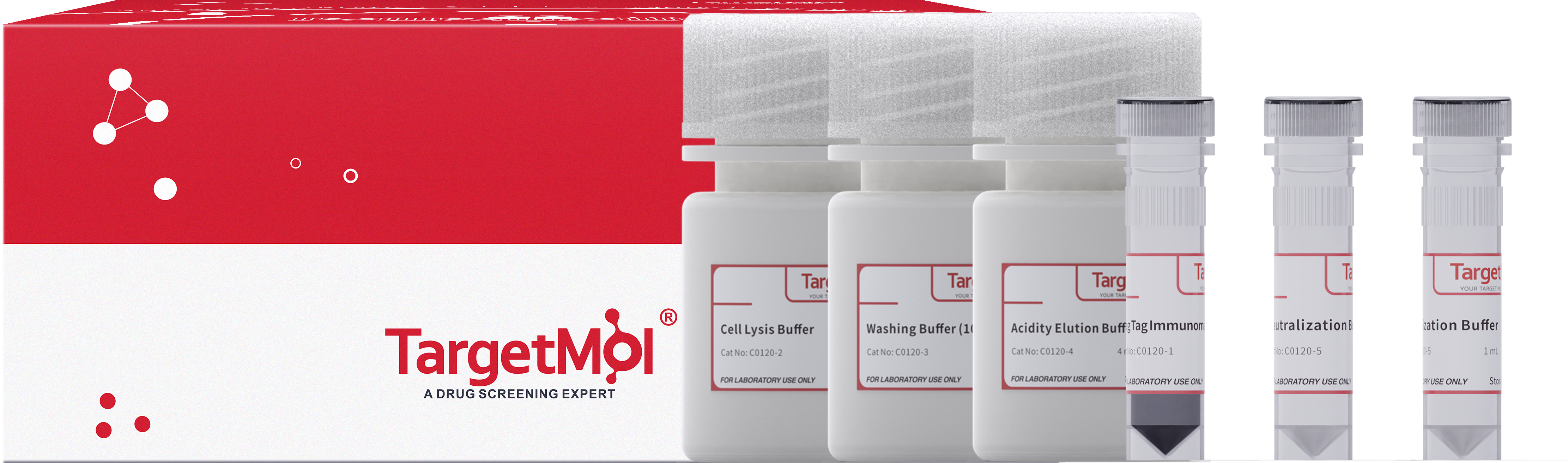 Flag Tag Immunoprecipitation Kit