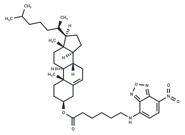 3-C6-NBD-cholesterol