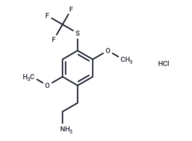 CYB210010