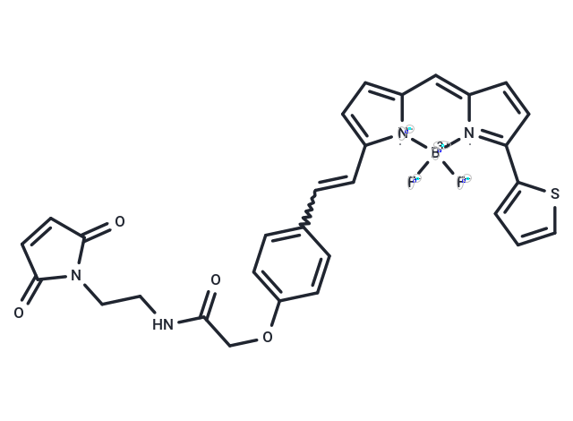 BDP 630/650 maleimide