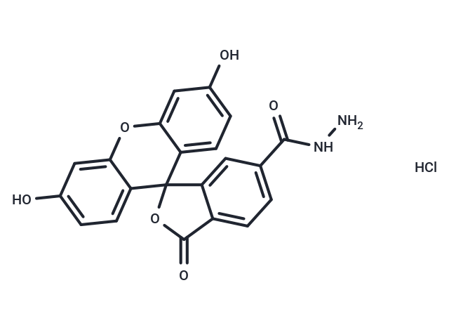 FAM hydrazide, 6-isomer hydrochloride