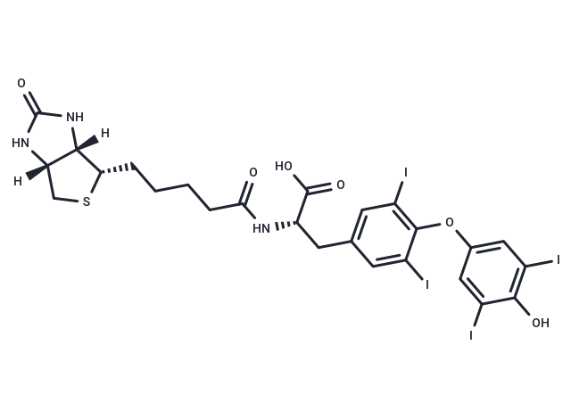 Biotin-(L-Thyroxine)