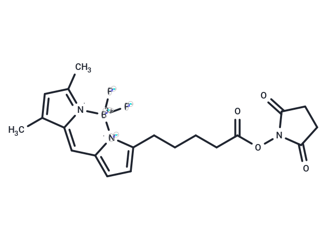 BODIPY FL-C5 NHS Ester