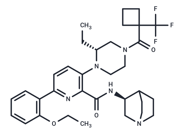 CRN04894