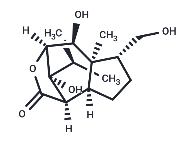 Dendronobilin B