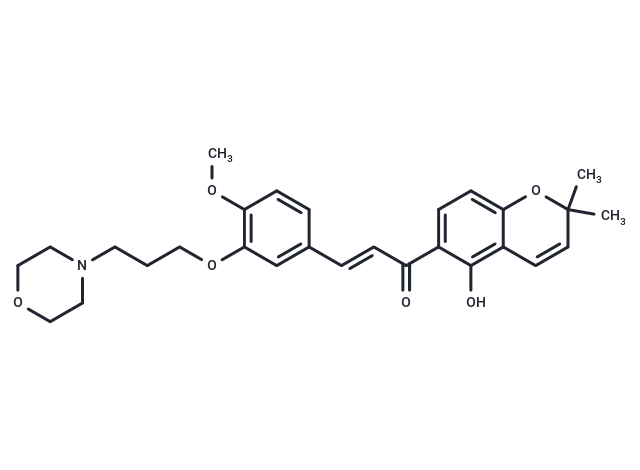 DYB-03