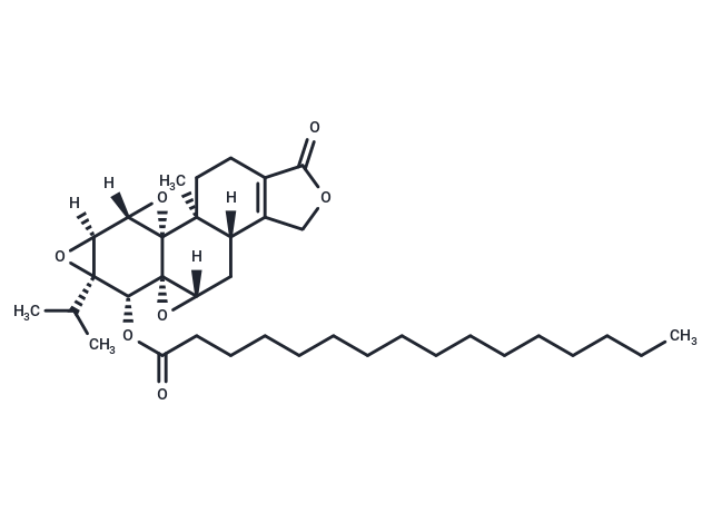 Triptolide palmitate