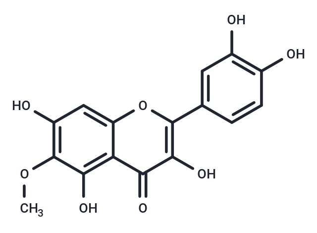 Patuletin