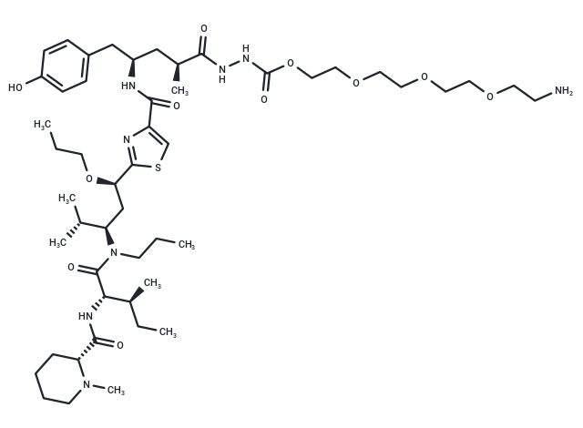 TAM557