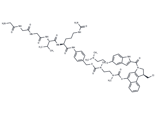 G3-VC-PAB-DMEA-Duocarmycin DM