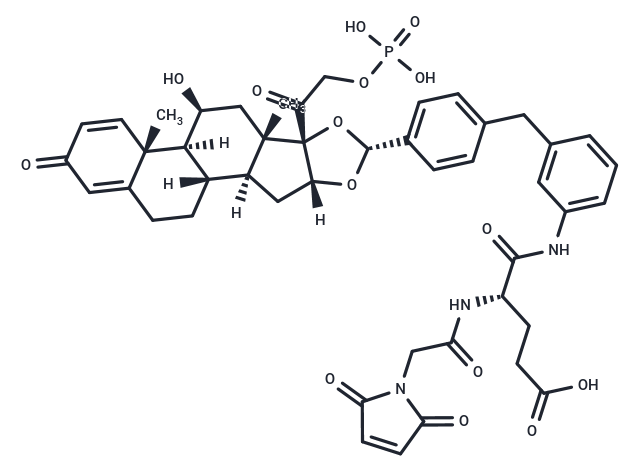 Glucocorticoid receptor agonist-1 phosphate Gly-Glu-Mal