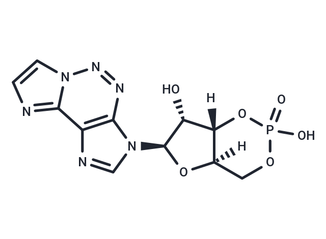 2-Aza-ε-cAMP