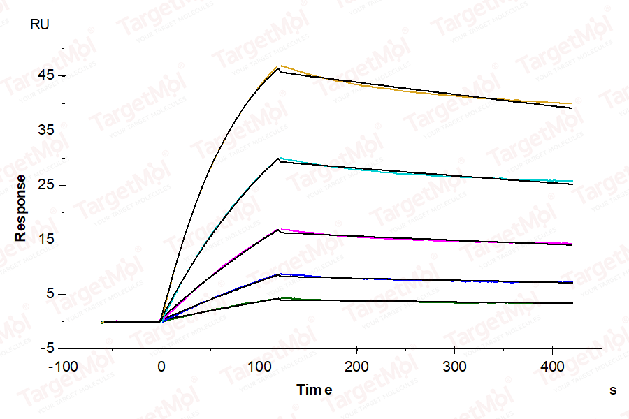 ACE2/ACEH Protein, Human, Recombinant (His & Avi)