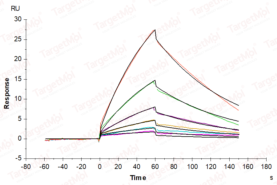 PLAU/uPA Protein, Mouse, Recombinant (His & Avi)