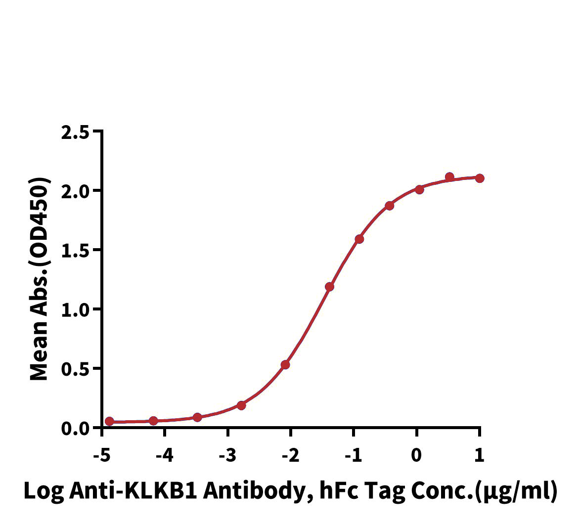 KLKB1 Protein, Human, Recombinant (His)