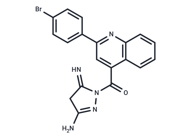 DNA Gyrase-IN-8